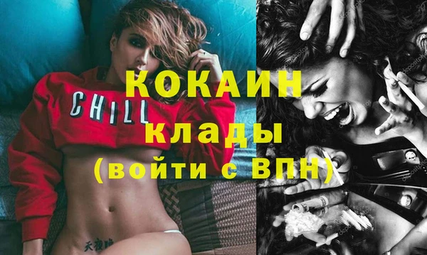 крисы Алексин