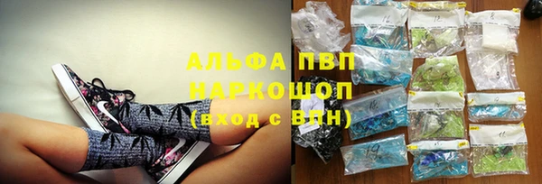 крисы Алексин